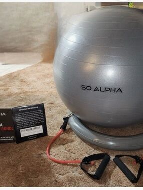 SO ALPHA Silver Exercise Stability Ball with Resistance Bands